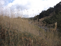 Torrente_Quarantore - 20110911 178.jpg